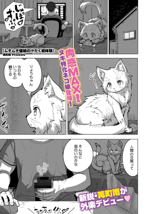 エロ漫画:ムチムチ猫娘の汁だく初体験 hitomi サンプル画像