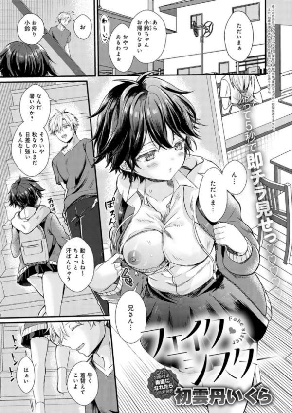 エロ漫画:フェイク・シスター hitomi サンプル画像