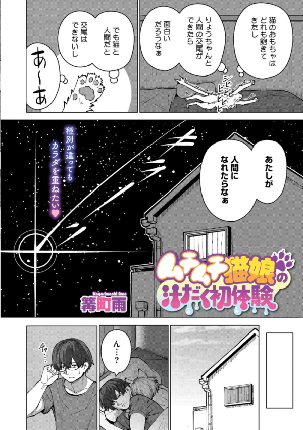 エロ漫画:ムチムチ猫娘の汁だく初体験 hitomi サンプル画像