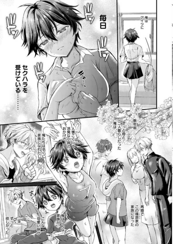エロ漫画:フェイク・シスター hitomi サンプル画像