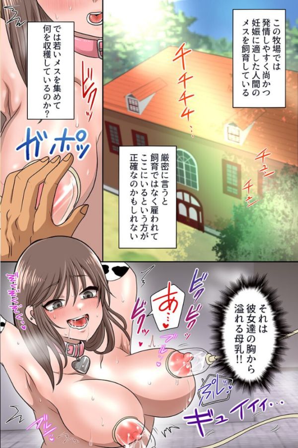 エロ漫画:牧場種付け体験!マイクロビキニの爆乳美女たちにガンガン生出ししてイカせまくる!! hitomi サンプル画像
