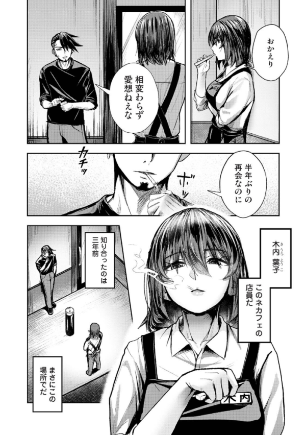 エロ漫画:年に2回会ってヤるだけの2人は、 第1集【合本版】 hitomi サンプル画像