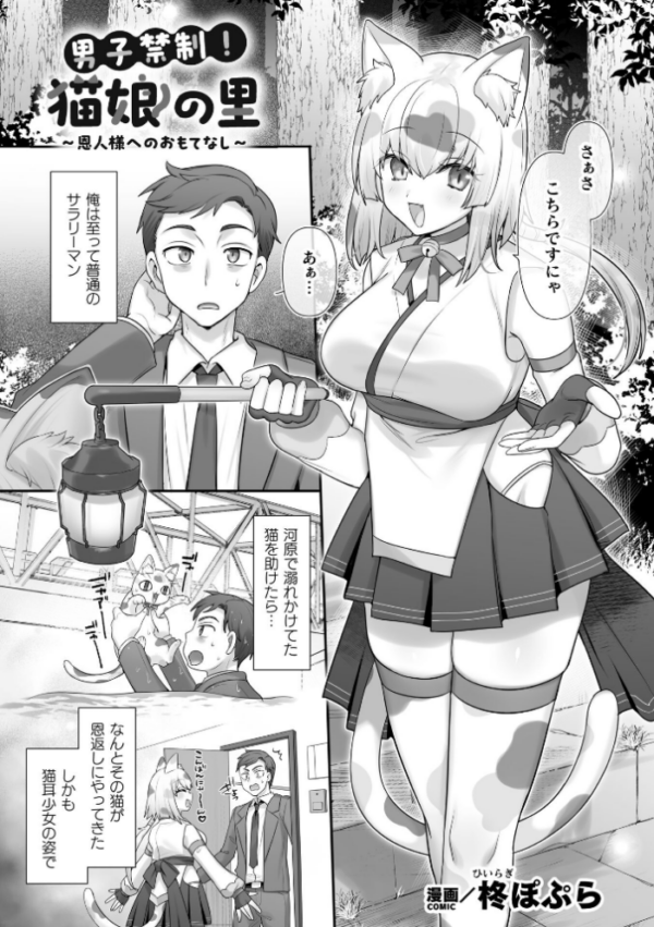 エロ漫画:男子禁制!猫娘の里〜恩人様へのおもてなし〜【単話】 hitomi サンプル画像