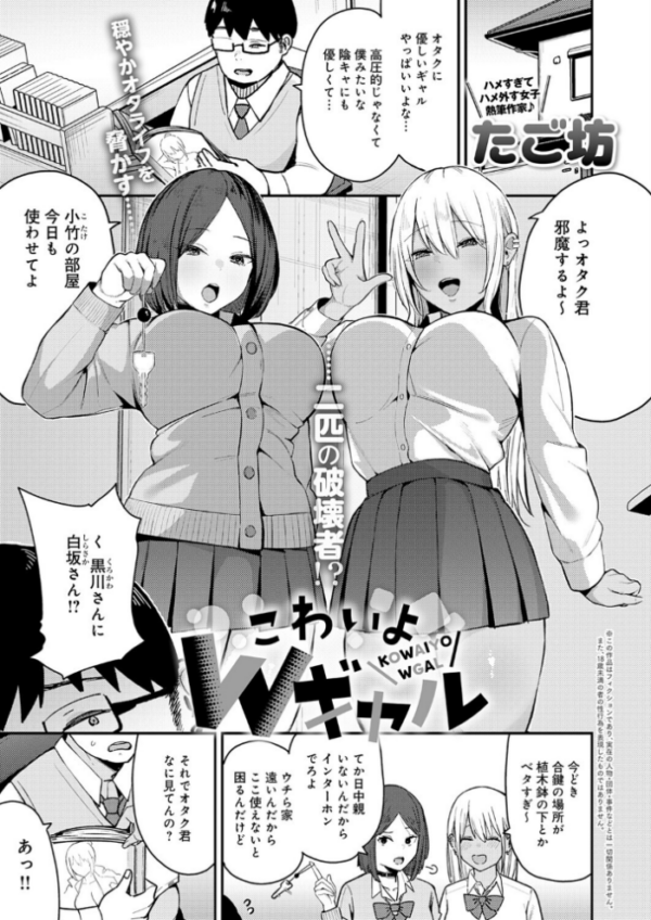 エロ漫画:こわいよWギャル hitomi サンプル画像