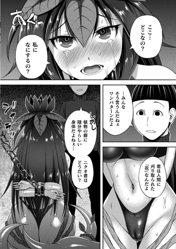 エロ漫画:囚われのマンドラゴラ hitomi サンプル画像