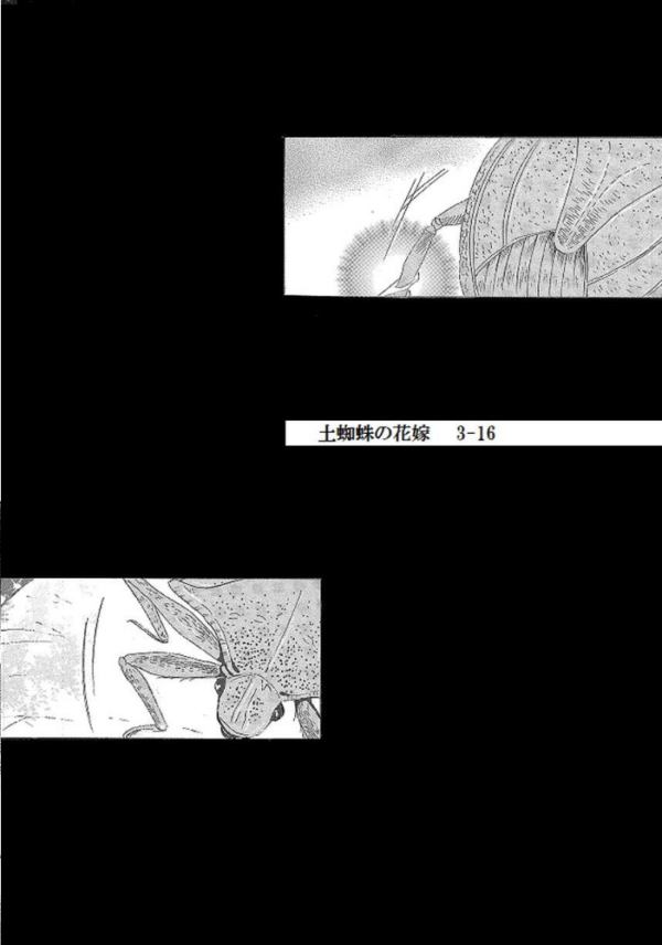 エロ漫画:土蜘蛛の花嫁 第三章 3-16 hitomi サンプル画像
