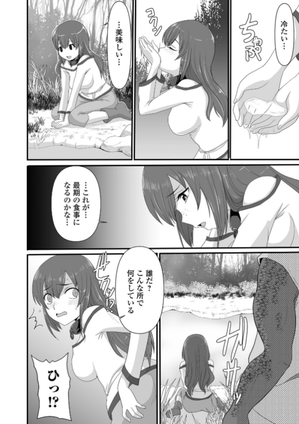 エロ漫画:異世界幻想交配記 hitomi サンプル画像