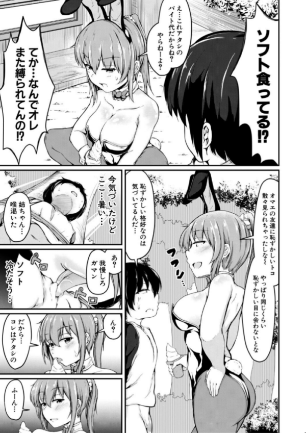 エロ漫画:お姉ちゃんは弟が好き 姉弟交尾記録 hitomi サンプル画像