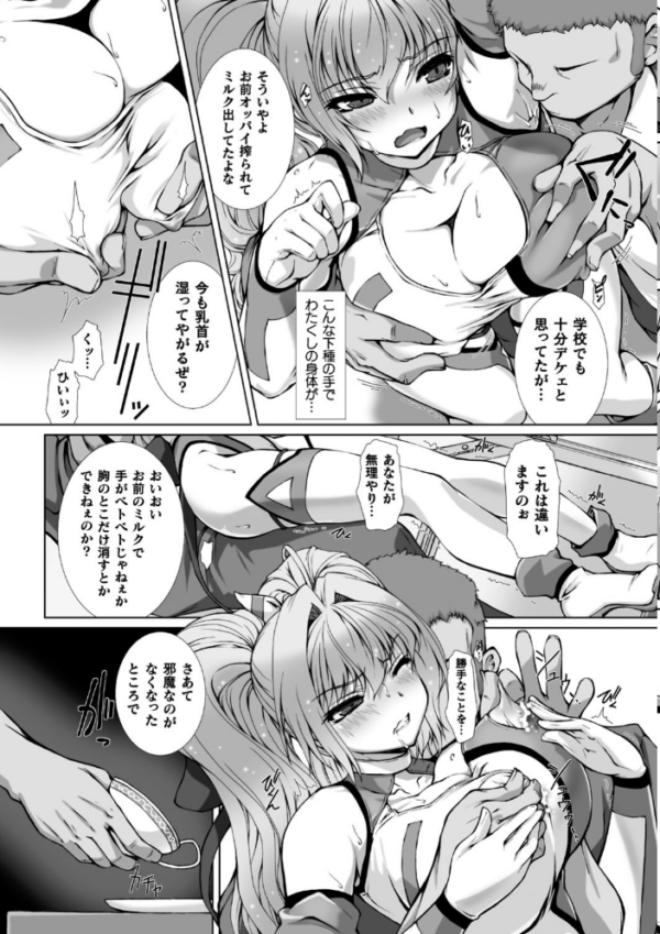 エロ漫画:変幻装姫シャインミラージュ THE COMIC 1 hitomi サンプル画像