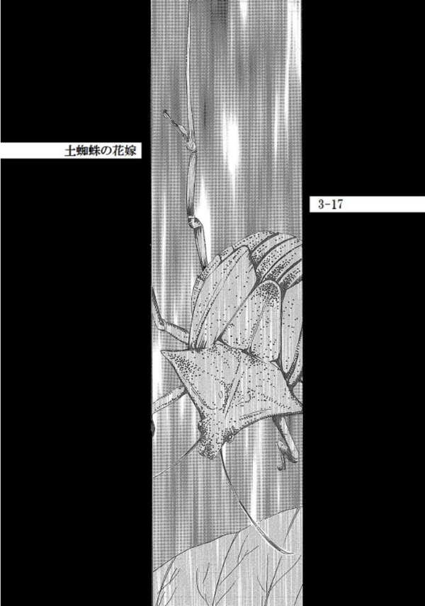 エロ漫画:土蜘蛛の花嫁 第三章 3-17 hitomi サンプル画像
