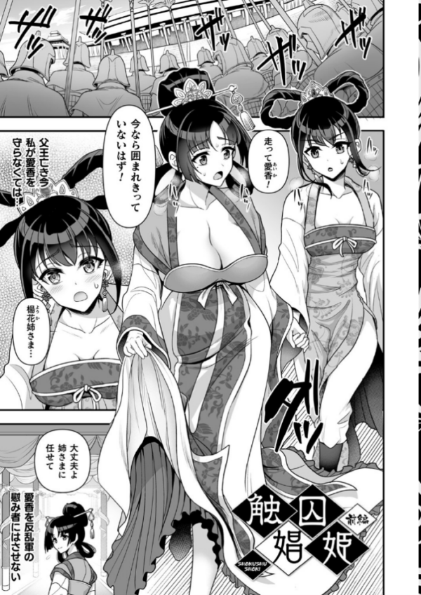 エロ漫画:異世界触辱譚【電子書籍限定版】 hitomi サンプル画像
