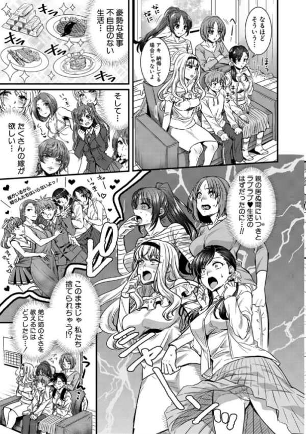 エロ漫画:四姉妹は弟とハーレムしたい!【電子版特典付き】 hitomi サンプル画像