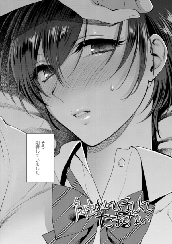 エロ漫画:ふれてほしくて たまらない【FANZA限定特典付き】 hitomi サンプル画像