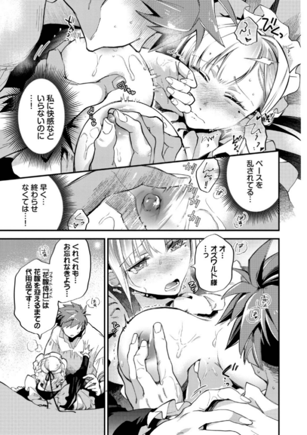エロ漫画:ブライド・メイド(単行本)【デジタル特装版】【FANZA限定版】 hitomi サンプル画像