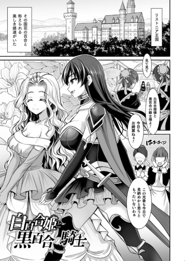 エロ漫画:異世界触辱譚【電子書籍限定版】 hitomi サンプル画像