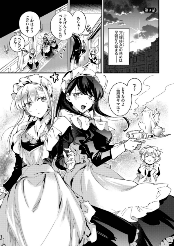 エロ漫画:ブライド・メイド(単行本)【デジタル特装版】【FANZA限定版】 hitomi サンプル画像