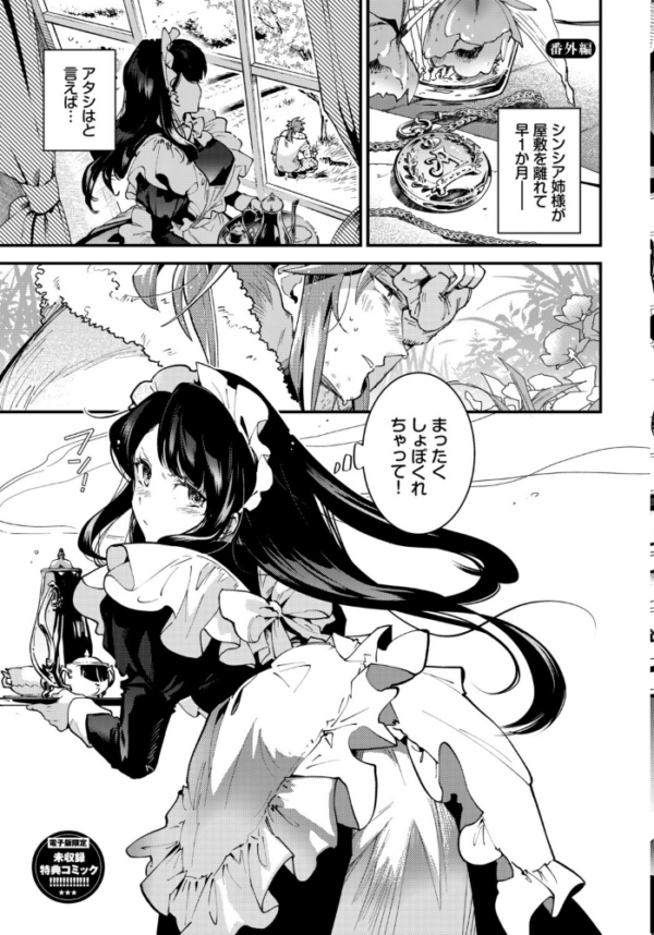 エロ漫画:ブライド・メイド(単行本)【デジタル特装版】【FANZA限定版】 hitomi サンプル画像