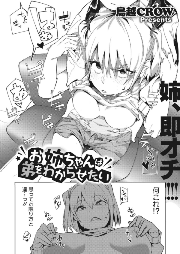 エロ漫画:お姉ちゃんは弟をわからせたい hitomi サンプル画像
