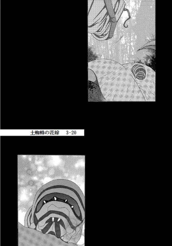 エロ漫画：土蜘蛛の花嫁 第三章 3-20   hitomi サンプル画像