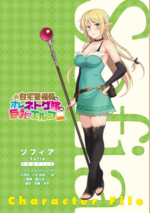 エロ漫画:自宅警備員なオレのネトゲ嫁は巨乳でエルフ hitomi サンプル画像