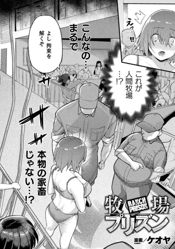 エロ漫画:別冊コミックアンリアル 人間牧場編デジタル版 Vol.9 hitomi サンプル画像