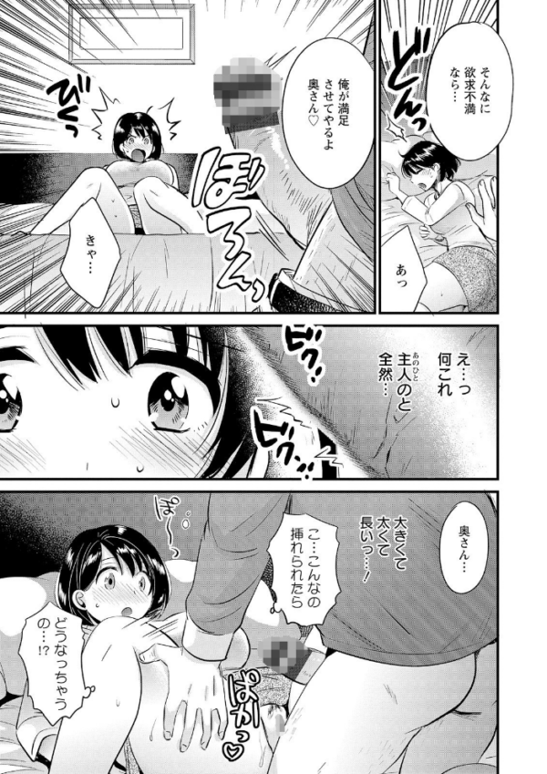 エロ漫画：主人には内緒   hitomi サンプル画像