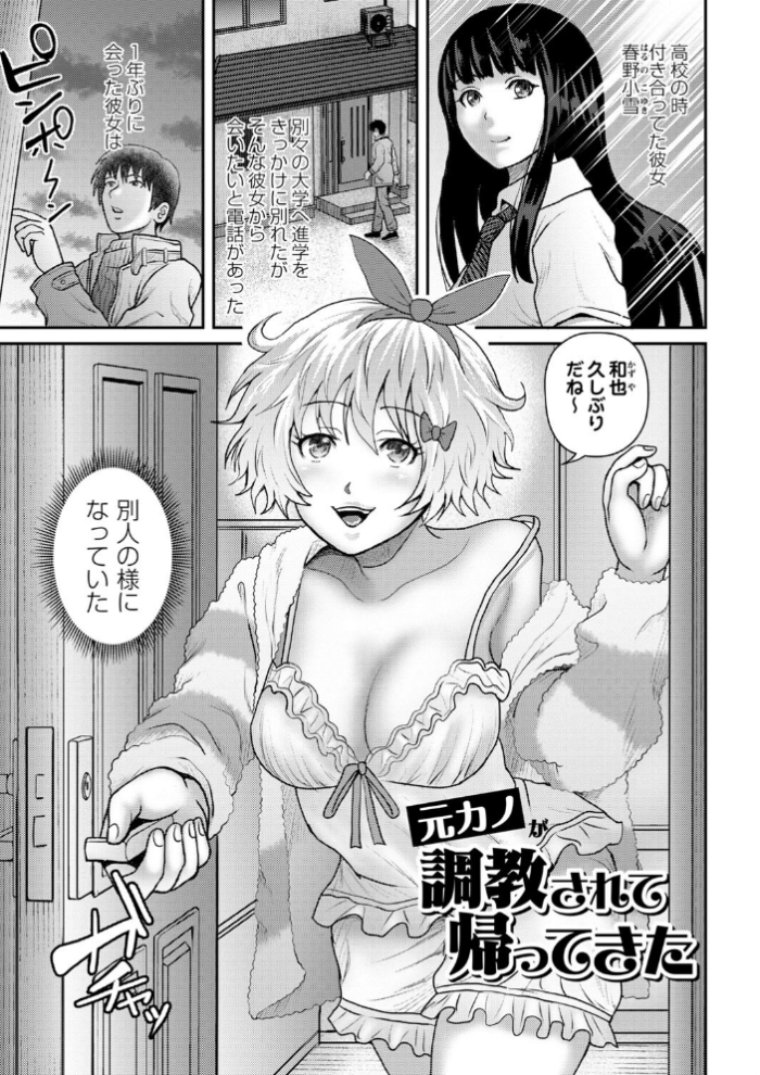 エロ漫画:彼女はどんなプレイも拒まない 【通常版】 hitomi サンプル画像