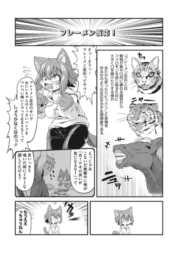エロ漫画:外楽 Vol.8&もももけものも【お得なセット売り版】 ★壁紙おまけつき hitomi サンプル画像