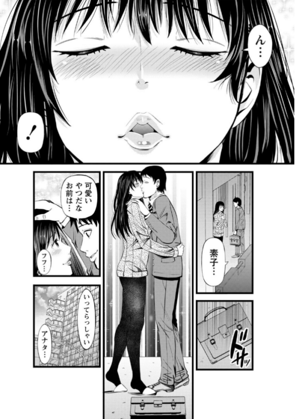 エロ漫画:ネトリックス 【FANZA限定】【デジタル特装版】 hitomi サンプル画像