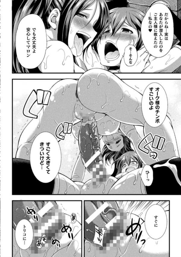 エロ漫画:天煌聖姫ヴァーミリオン THE COMIC hitomi サンプル画像