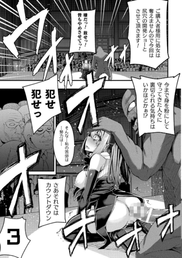 エロ漫画:二次元コミックマガジン 魔法少女性奴●オークションへようこそ! Vol.2 hitomi サンプル画像